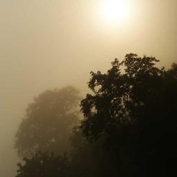 Fantastic Cotton Ball thumbnail 1