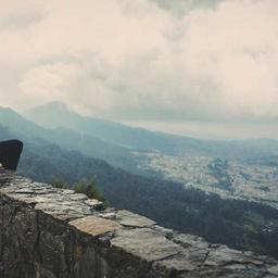 Oriental Steel Chicken thumbnail 1