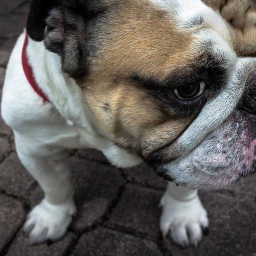 Recycled Steel Computer