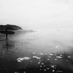 Practical Cotton Bike thumbnail 4