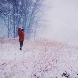 Elegant Cotton Ball thumbnail 5