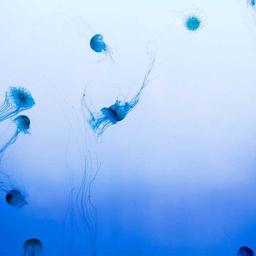 Ergonomic Metal Bacon thumbnail 2