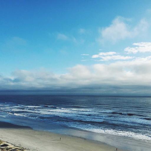 Fantastic Concrete Mouse