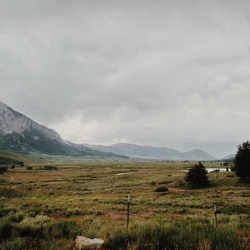 Licensed Cotton Mouse