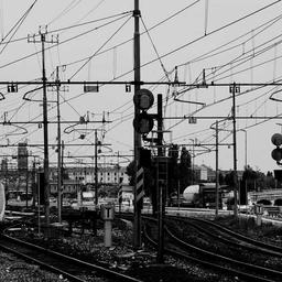 Tasty Frozen Tuna thumbnail 1