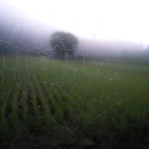 Fantastic Bronze Chair