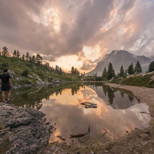 Intelligent Granite Chicken