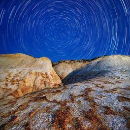 Tasty Concrete Hat thumbnail 2