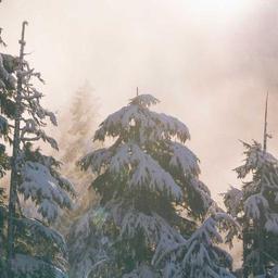 Modern Plastic Pants thumbnail 4