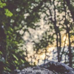 Licensed Wooden Salad thumbnail 1