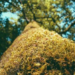 Refined Granite Salad thumbnail 3