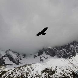 Handmade Cotton Chips thumbnail 5