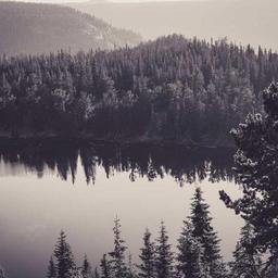 Generic Plastic Sausages thumbnail 5