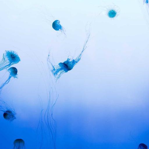 Electronic Metal Cheese