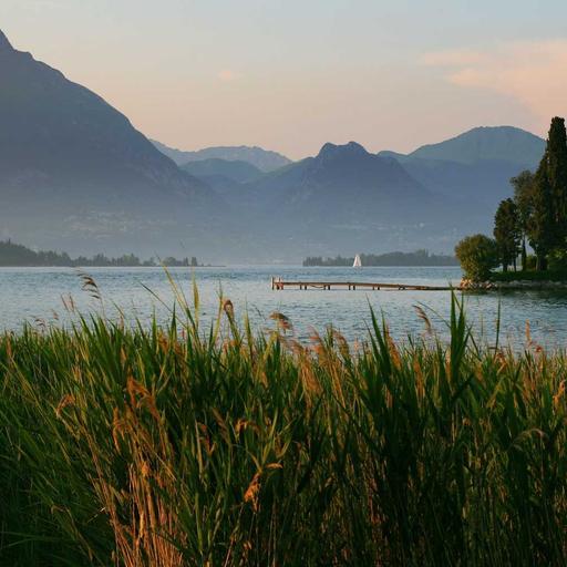 Recycled Fresh Salad