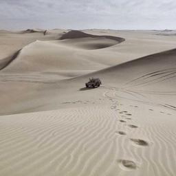 Sleek Frozen Chips thumbnail 4