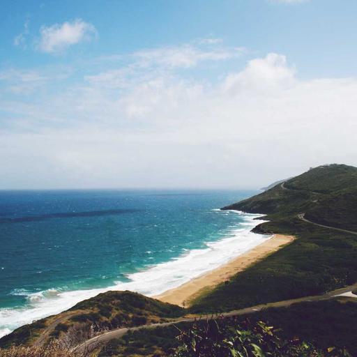 Licensed Metal Bacon