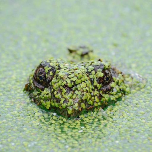 Awesome Granite Bike