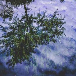 Electronic Granite Bacon thumbnail 5