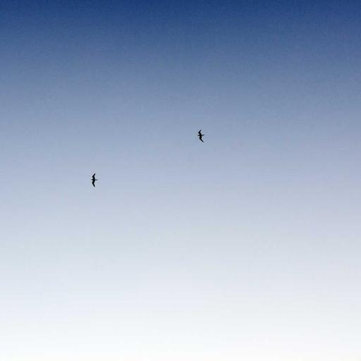 Electronic Fresh Soap