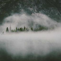 Fantastic Soft Tuna thumbnail 4