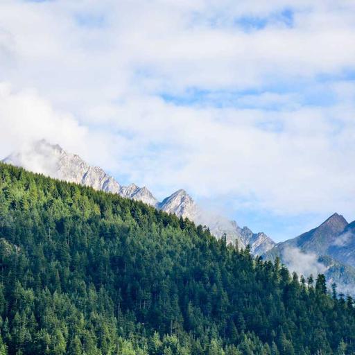 Small Cotton Keyboard