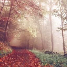 Generic Granite Keyboard thumbnail 2