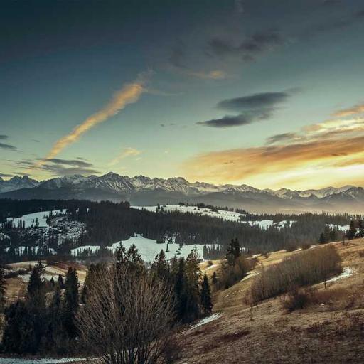 Gorgeous Rubber Shirt