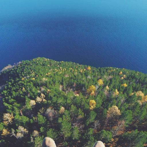 Licensed Concrete Chips