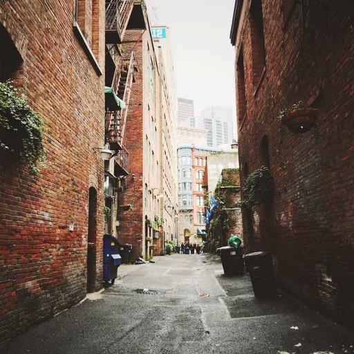 Ergonomic Wooden Fish