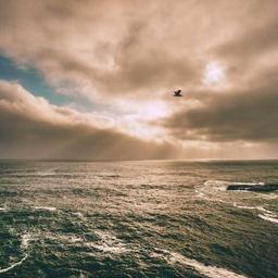 Small Rubber Towels thumbnail 3