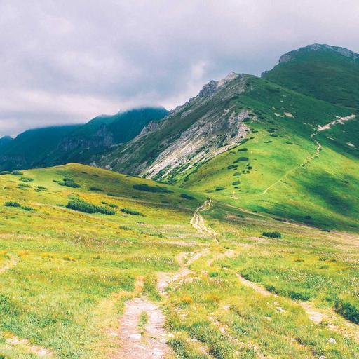 Incredible Cotton Chips
