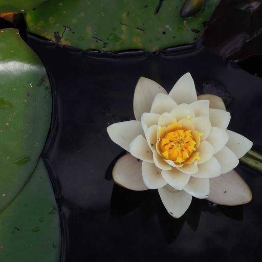 Ergonomic Soft Shirt