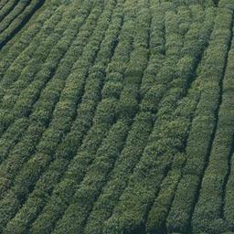 Fantastic Metal Shirt thumbnail 3