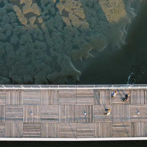 Luxurious Fresh Chair