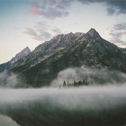 Unbranded Fresh Gloves thumbnail 3