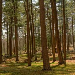 Ergonomic Frozen Gloves thumbnail 4