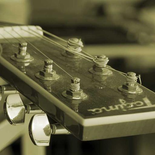 Unbranded Bronze Tuna