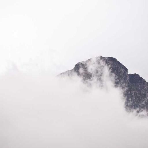 Licensed Concrete Bike