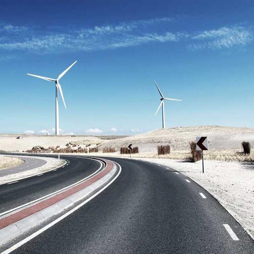 Oriental Plastic Mouse