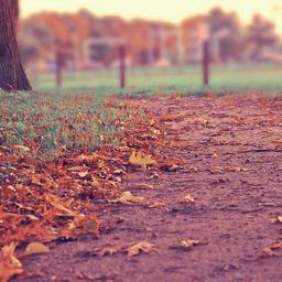 Intelligent Bronze Shirt thumbnail 3