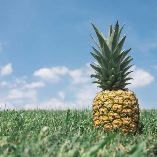 Intelligent Fresh Keyboard