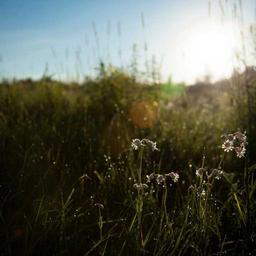 Recycled Cotton Chips thumbnail 5