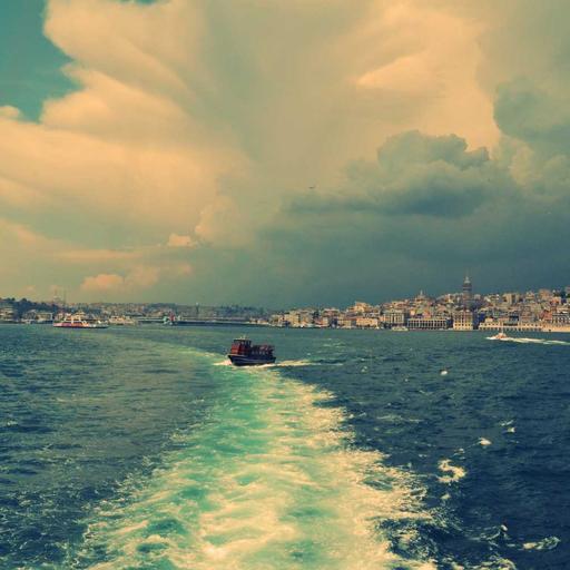 Gorgeous Granite Chicken