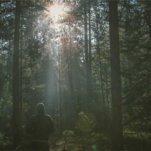 Refined Plastic Towels