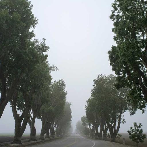 Elegant Cotton Keyboard