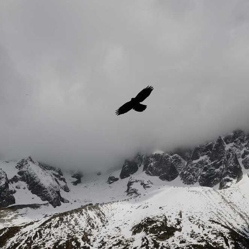 Fantastic Plastic Shirt