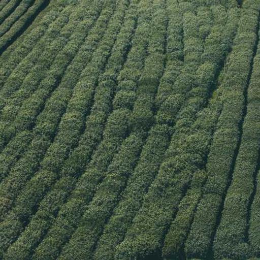 Unbranded Rubber Towels