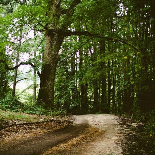 Gorgeous Granite Chicken