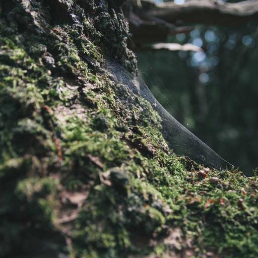 Luxurious Rubber Mouse